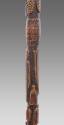 Walking Stick 2016.708.1