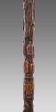 Walking Stick 2016.708.1
