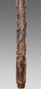 Walking Stick 2016.708.1