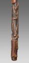 Walking Stick 2016.708.1