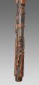 Walking Stick 2016.708.1