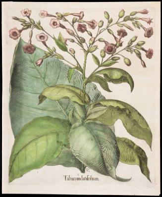 Print 1956-121