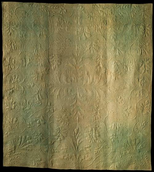 Quilt 1951-224