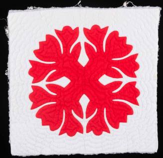Quilt Square 2012.609.6,3