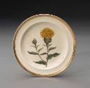 Plate 1992-13,2