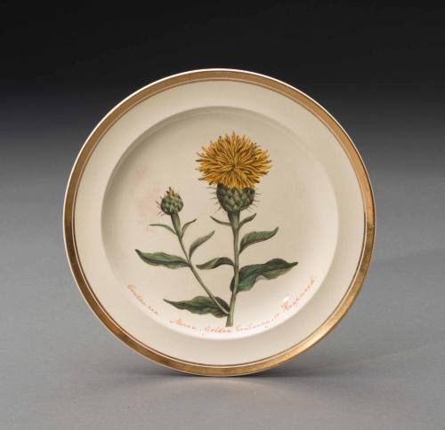 Plate 1992-13,2