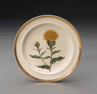 Plate 1992-13,2