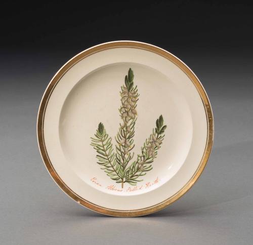 Plate 1992-13