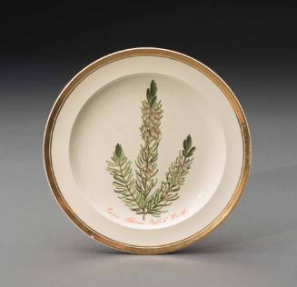 Plate 1992-13