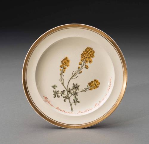 Plate 1992-13,8
