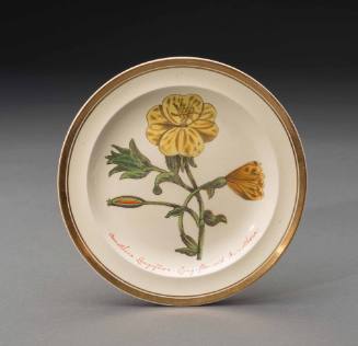 Plate 1992-13,9