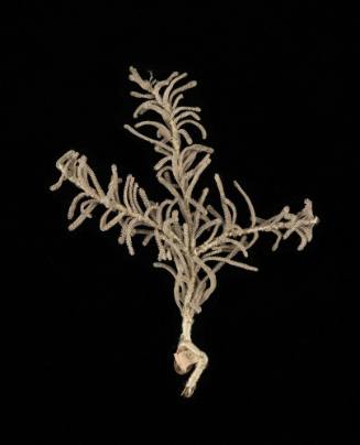 Artificial Flower 1952-522