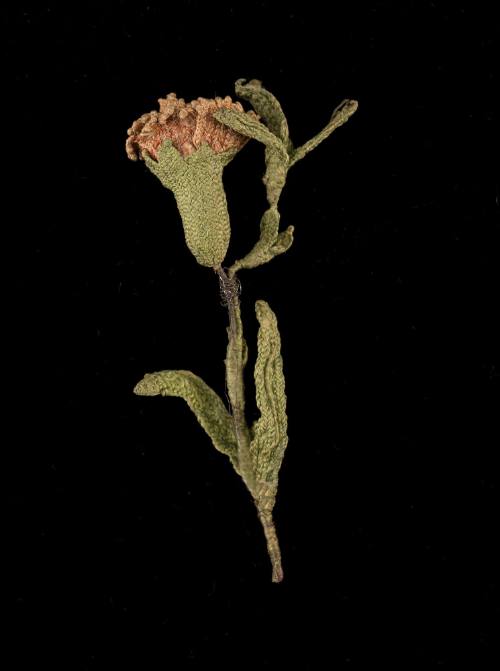 Artificial Flower 1952-516
