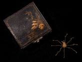 Spider Charm and Box 1952-517,A&B