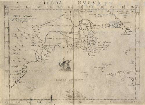 TIERRA NVEVA