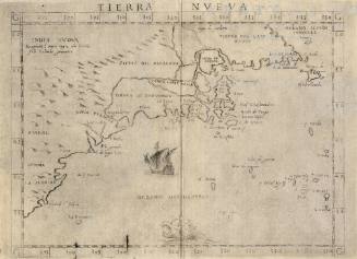 TIERRA NVEVA