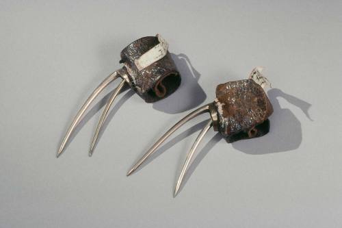 Cockspurs 1973-64