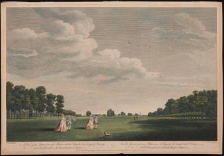 Print 1955-399