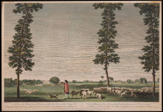 Print 1955-401