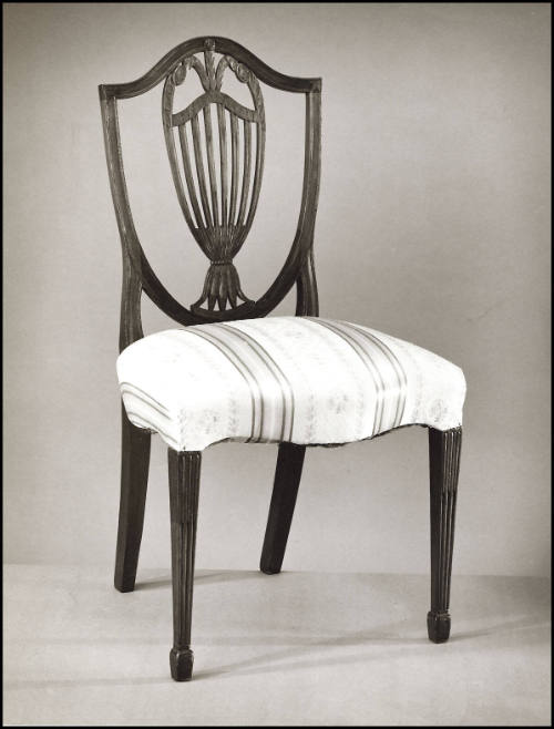 C1980-1236
