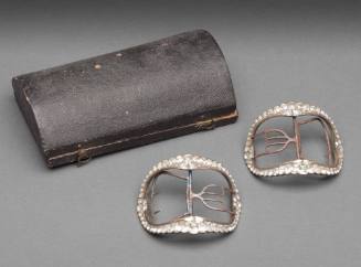 Shoe Buckles with Case 2015-261