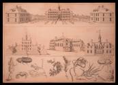 Copper Plate 1938-196
