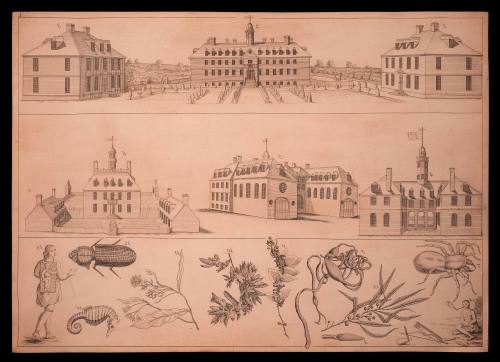 Copper Plate 1938-196