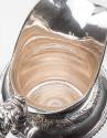 Pitcher 2018-3