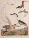 Book 2018-147,7