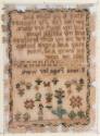 Sampler 1981-162