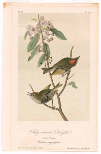 Print 2018-269,26