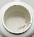 Wet Drug Jar 1947-206