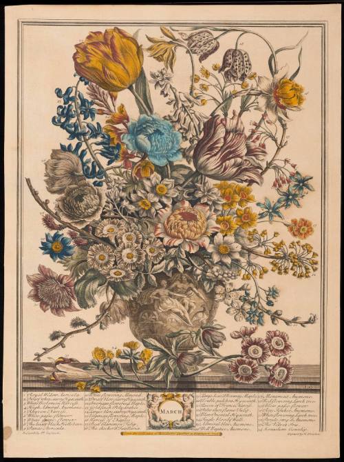 Print 1940-386