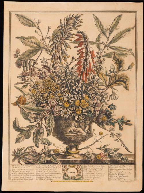 Print 1940-384