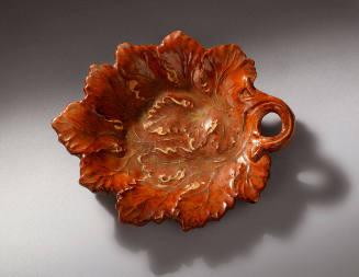 2006-145, Dish
