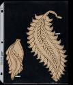 2002-22,82-83, Pattern