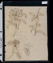 2002-22,102, Pattern