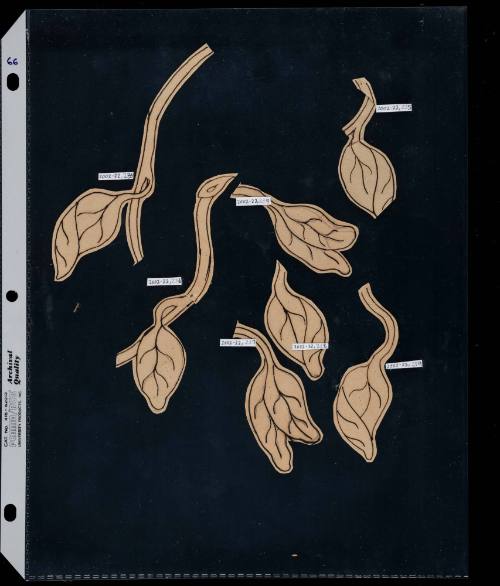 2002-22,233-239, Pattern