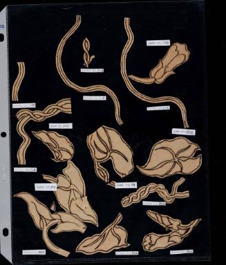 2002-22,500-513, Pattern