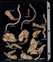 2002-22,500-513, Pattern