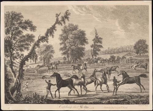 1961-79, Print