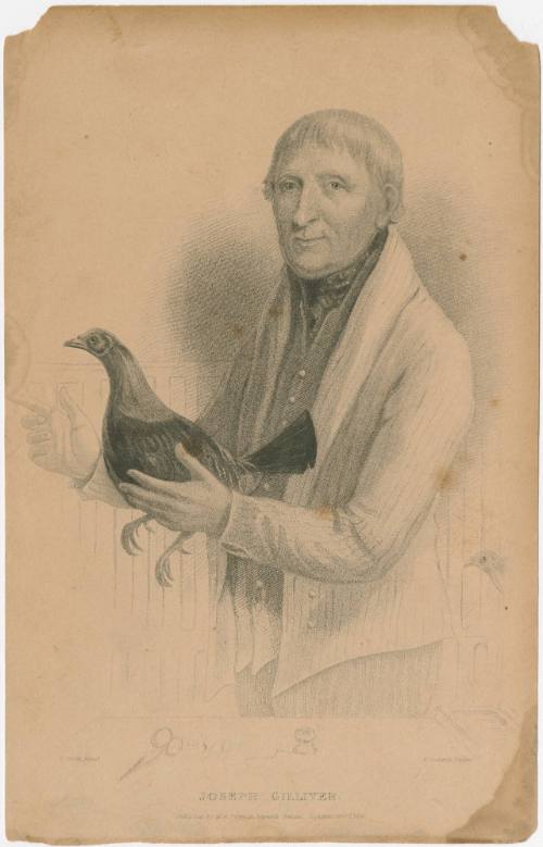 1989-397, Print