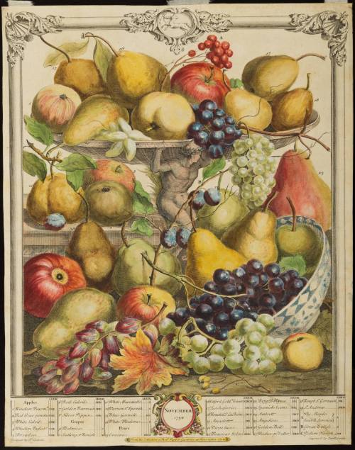 1956-135, Print