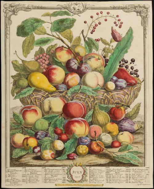 1956-131, Print