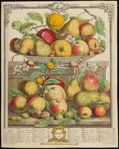 1956-127, Print