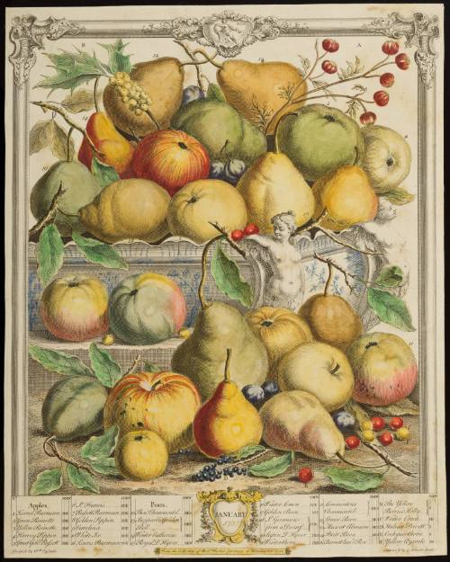 1956-125, Print