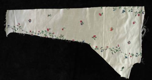 2020-24, Painted Textile Document