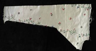 2020-24, Painted Textile Document