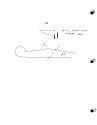 Scanned survey sheet for 2016-300 (NC-702) from Englund files.
