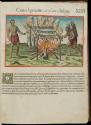 2017-194,1, Book-XIIII. (14) The Wooden Frame on Which They Roast Fish